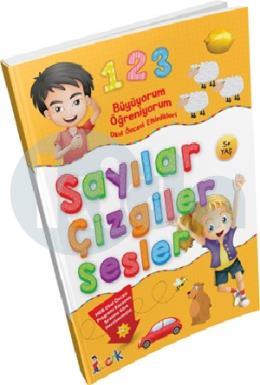 Büyüyorum Öğreniyorum Okul Öncesi Etkinlikleri Sayılar Çizgiler Sesler