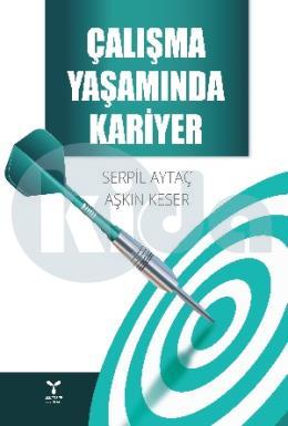 Çalışma Yaşamında Kariyer