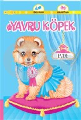 Yavru Köpek Evde