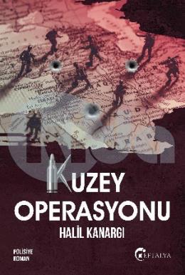 Kuzey Operasyonu