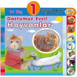 1+ Yaş Dostumuz Evcil Hayvanlar