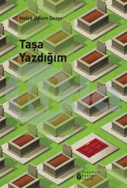 Taşa Yazdığım