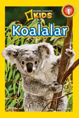 Koalalar