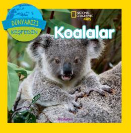 Koalalar