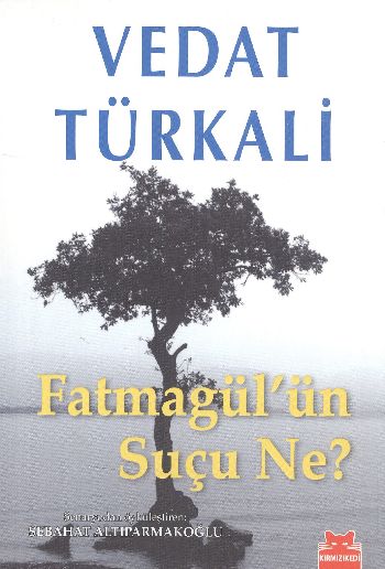 Fatmagül’ün Suçu Ne?