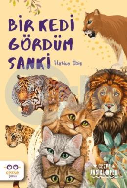 Bir Kedi Gördüm Sanki