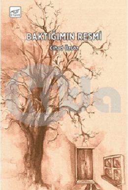 Baktığımın Resmi