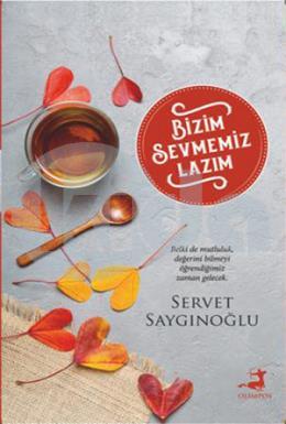 Bizim Sevmemiz Lazım