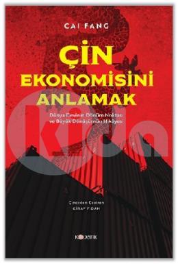 Çin Ekonomisini Anlamak