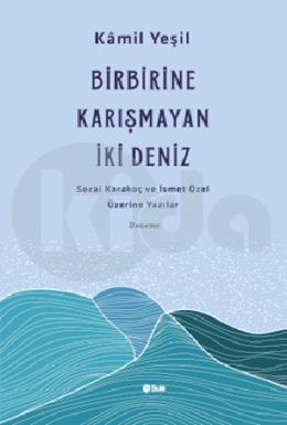 Bi̇rbi̇ri̇ne Karışmayan İki̇ Deni̇z