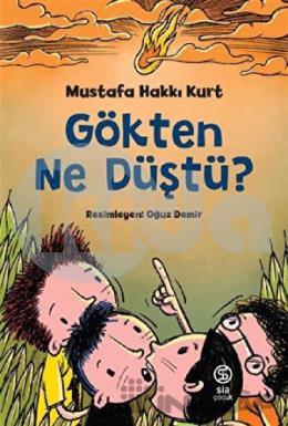 Gökten Ne Düştü?