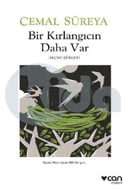 Bir Kırlangıcın Daha Var