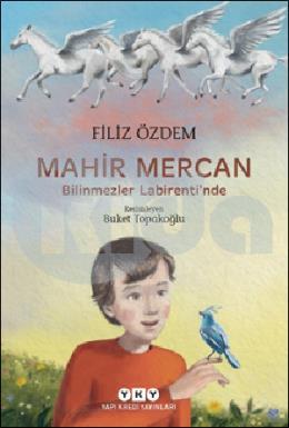 Mahir Mercan Bilinmezler Labirentinde