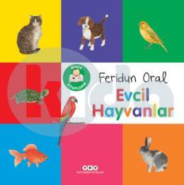 Minik Kitaplarım Evcil Hayvanlar