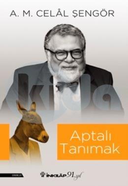 Aptalı Tanımak