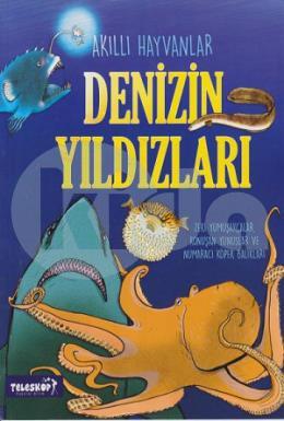 Deniz Yıldızları-Akıllı Hayvanlar