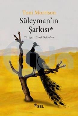 Süleymanın Şarkısı