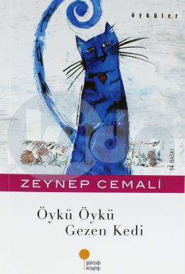 Öykü Öykü Gezen Kedi