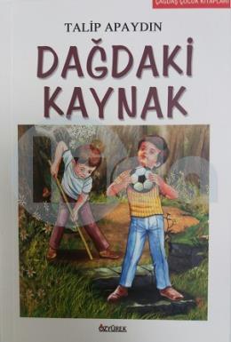 Dağdaki Kaynak